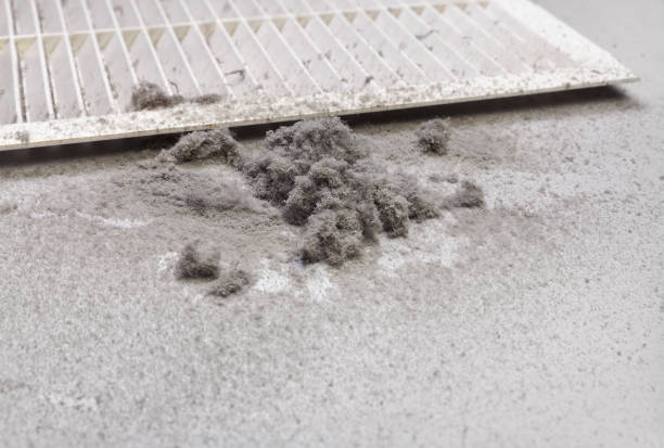 Best Residential Air Duct Cleaning  in Beech Mountain Lakes, PA